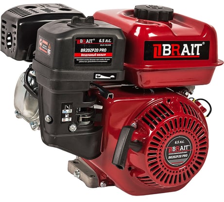 Двигатель бензиновый BR202P20 PRO BRAIT 03.01.152.035