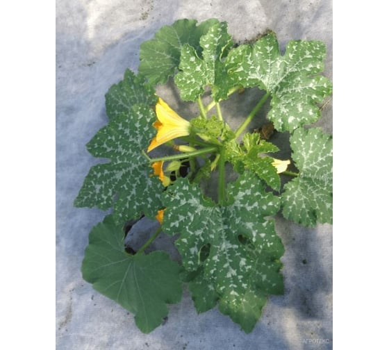 Мульчирующий материал для защиты от сорняков Агротекс Профф 80 г/м², 1060 мм, 10 м, бело-чёрный мини рулон 32.01.17.01.24.080.0010.1060.00 1