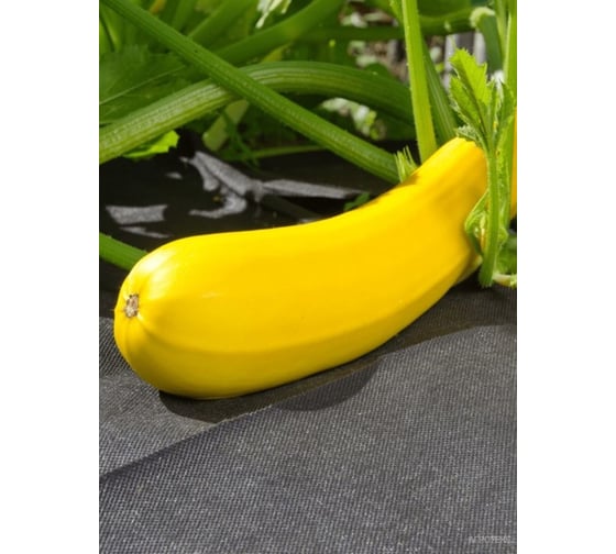 Укрывной материал Агротекс Удача для защиты от сорняков, 60 г/м², 800 мм, 10 м, черный, коробка (35шт) 37.01.03.02.02.060.0010.0800.00 1