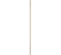 Черенок SAMGRUPP для щетки 120 см диаметр 25 мм сухой шлифованный без резьбы 25 шт SR-087025120-25