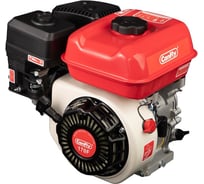 Двигатель CanFly 170F 720493