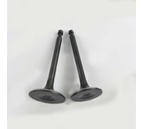 Комплект клапанов Amperin (впускной, выпускной) для двигателя 168F/170F, GX160/GX200 131020 082676