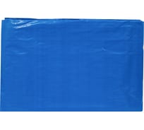 Тент 6х8м, 85г/м2, синий Gigant TENT-02