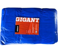 Тент 10х10м, 120г/м2, синий Gigant TENT-03