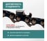 Цепь пильная VIRA МАСТЕР 64 зв. 380 мм (15 ) 0,325 1.3 L64-0,325-1.3 594964 5