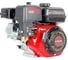 Двигатель VERTON GARDEN BS-176F/25S 01.9668.27885 8