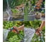 Пистолет-распылитель для полива многофункциональный Gardena Classic +Коннектор с автостопом 1/2 +Коннектор стандартный 1/2 + Штуцер Anti-Splash 33,3 мм (G 1) 18372-20.000.00 3