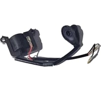 Модуль зажигания Evoline BCG 43 ES 4.009.0023.11EVO