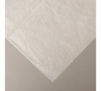 Материал укрывной (42 г/кв. м.; 1.6х10 м; белый) Greengo 3114111