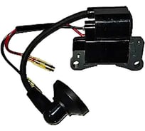 Модуль зажигания Evoline BCG 25 ES 4.009.0023.21EVO