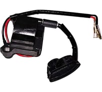 Модуль зажигания Evoline BCG 52 ES AV 4.009.0023.23EVO