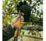 Черенок алюминиевый FISKARS телескопический М 119-174см OneClick ЦИ-1982706012 6