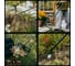 Черенок алюминиевый FISKARS L 161см OneClick ЦИ-3204831441 7