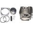 ЦПГ в сборе Evoline CSG 46 3.002.0030.171EVO 1