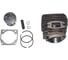 ЦПГ в сборе Evoline CSG 50 3.002.0030.201EVO 1