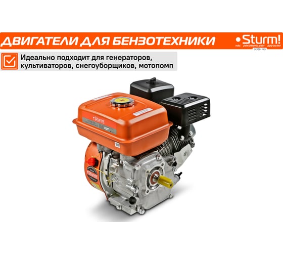 Двигатель для бензо-техники Sturm GE168-19Q