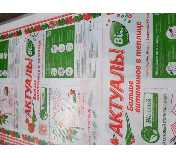 Поликарбонат АКТУАЛЬ!Bio 2100x6000x4 мм, 0.72 кг/кв.м., 2 листа АКТИВАГРО.РФ 028