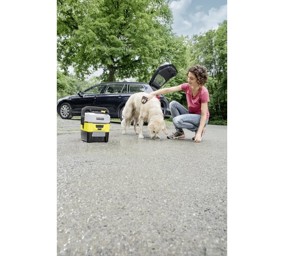 Щетка для чистки шерсти Karcher 2.643-874.0