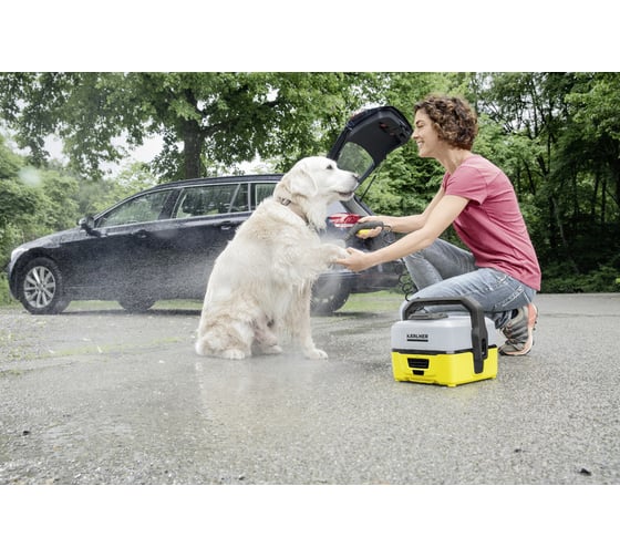 Сопло струйное Karcher 2.643-875.0