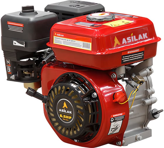 Двигатель ASILAK SL-168F-D19