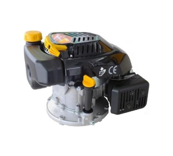 Бензиновый двигатель SunGarden DJ1P65F