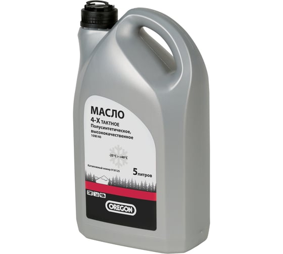 Масло зимнее 10W40 полусинтетическое (5 л) для 4-тактных двигателей Oregon 91812S