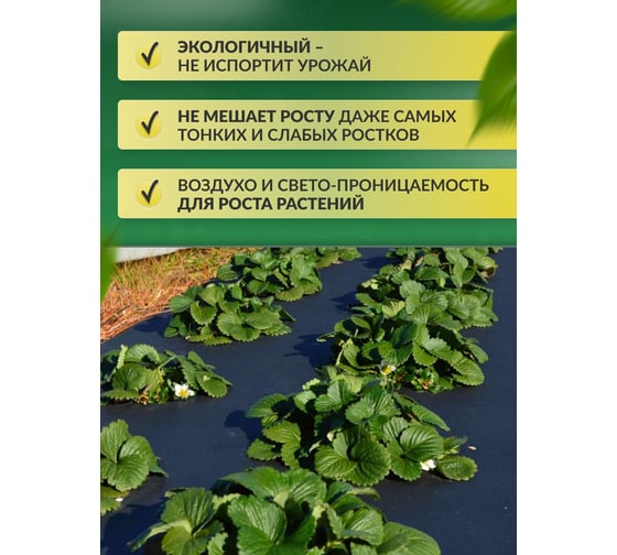 Укрывной материал спанбонд суф (3.2x10 м; 100 г/кв.м; черный) Доминар E61060
