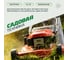 Моторное масло techno 4т bi bi care, 1 л BiBiCare 4311 8