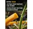 Леска для триммера d 2,7 мм x 35 м сечение треугольное Garden STARTUL ST6048-27 ЦБ-0185831424 3