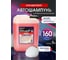 Средство для бесконтактной мойки ACG RUBIN 5 л 1017053 2