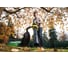 Мешок для сбора листвы RAC365 Ryobi 5132003275 5