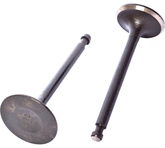 Клапаны для двигателя 190F(комплект) (870461) REDVERG 6680906 1