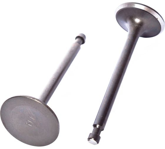 Клапаны для двигателя 188F(комплект) (870454) REDVERG 6680905 1