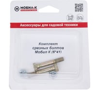 Срезные болты для снегоуборщика (6х41 мм, 2 шт.) Мобил К
