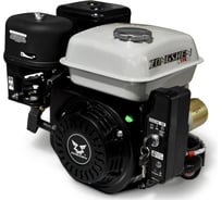 Двигатель ZS170FE с ген.катушкой 4Т (7 л.с.) ZONGSHEN 06.004.00028