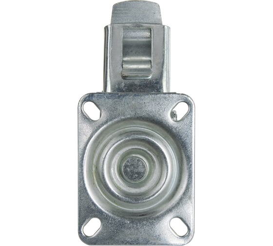 Колесо 125 мм, 100 кг Vigi CSb 10.03.125 для тележек Palladium 114276