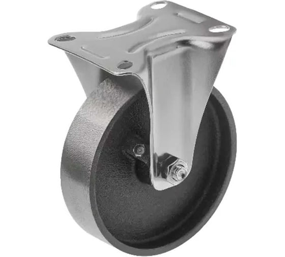 Большегрузное чугунное колесо без резины неповоротное FCss 46 (100 мм; 60 кг) А5 1000156 1