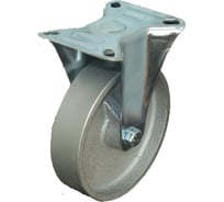 Колесо неповоротное с литым ободом FCss46 (100 мм; 30 мм) MFK-TORG 1131100 Light
