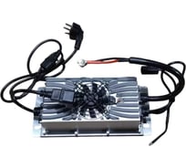 Зарядное устройство для штабелёров TOR CDD10R-E/CDD12R-E 24V/25A Li-ion (Charger) 1019016