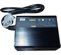 Зарядное устройство для штабелёров TOR TSE (Charger XYM 300W 12V/15A) 1041628