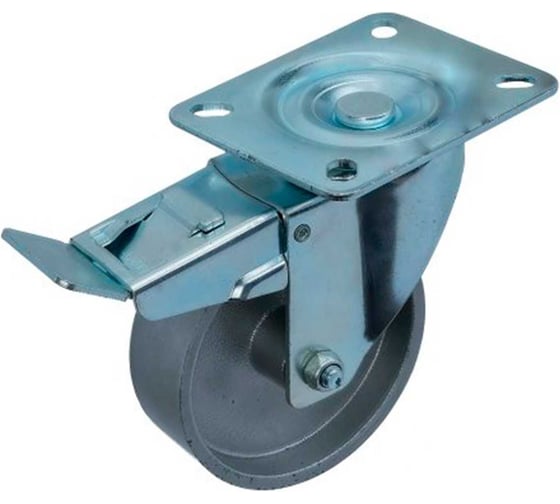 Термостойкое чугунное колесо А5 SHTdb 100 (100 мм, 140 кг, до 300 °С) 1009947 1