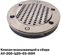 Клапан всасывающий в сборе АУ-200-Ц20-03-00М ЭнергоРесурс 2201003