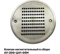 Клапан нагнетательный в сборе ЭнергоРесурс АУ-200-Ц41-00М 2201004