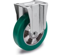 Колесо Elesa+Ganter RE.F2-100-PSL-H 452461