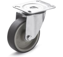 Колесо Elesa+Ganter RE.G1-100-SBL-N 452556