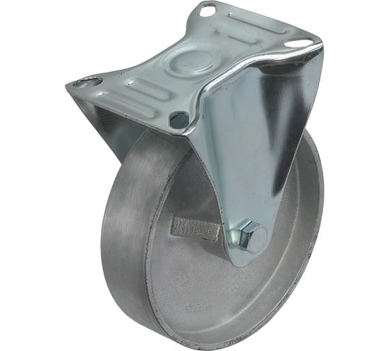 Колесо большегрузное чугунное без резины 125 мм FCss 54 А5 1000157 1