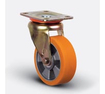 Колесо с поворотной платформой EMES ED01ABP150X45