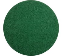Комплект ПАДов 13 дюймов, 33 см, 2 шт для роторных поломоечных машин EUROCLEAN professional EURPAD-A13GREEN