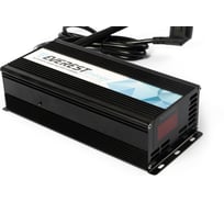 Зарядное устройство EVEREST Energy серии для AGM и GEL EVE-24-20