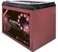 Тяговая аккумуляторная батарея Zenith ZL120175 12 V, 86Ah/20H